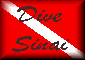 DIVE SINAI